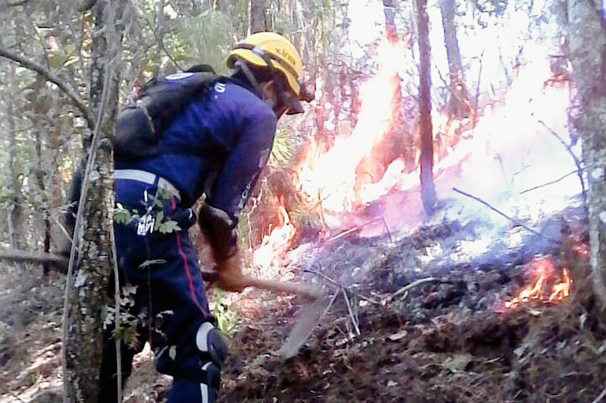 Bombero combate incendio forestal en Chichicastenango, Quiché. (Foto Prensa Libre: Óscar Figueroa)
