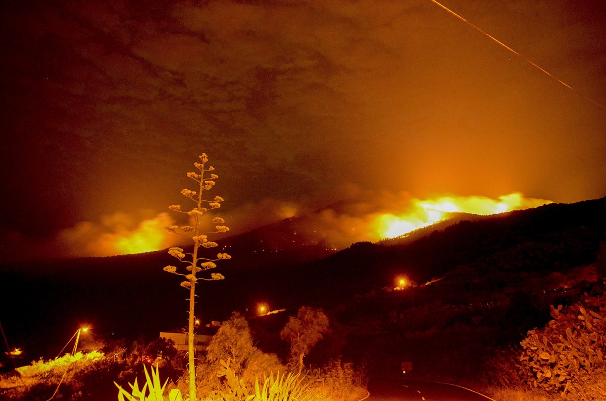 Avanza incendio causado por un alemán en Canarias, España. (Foto Prensa Libre: EFE)
