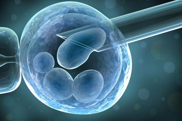 Crean intestino humano a partir de células madre que funciona en ratones