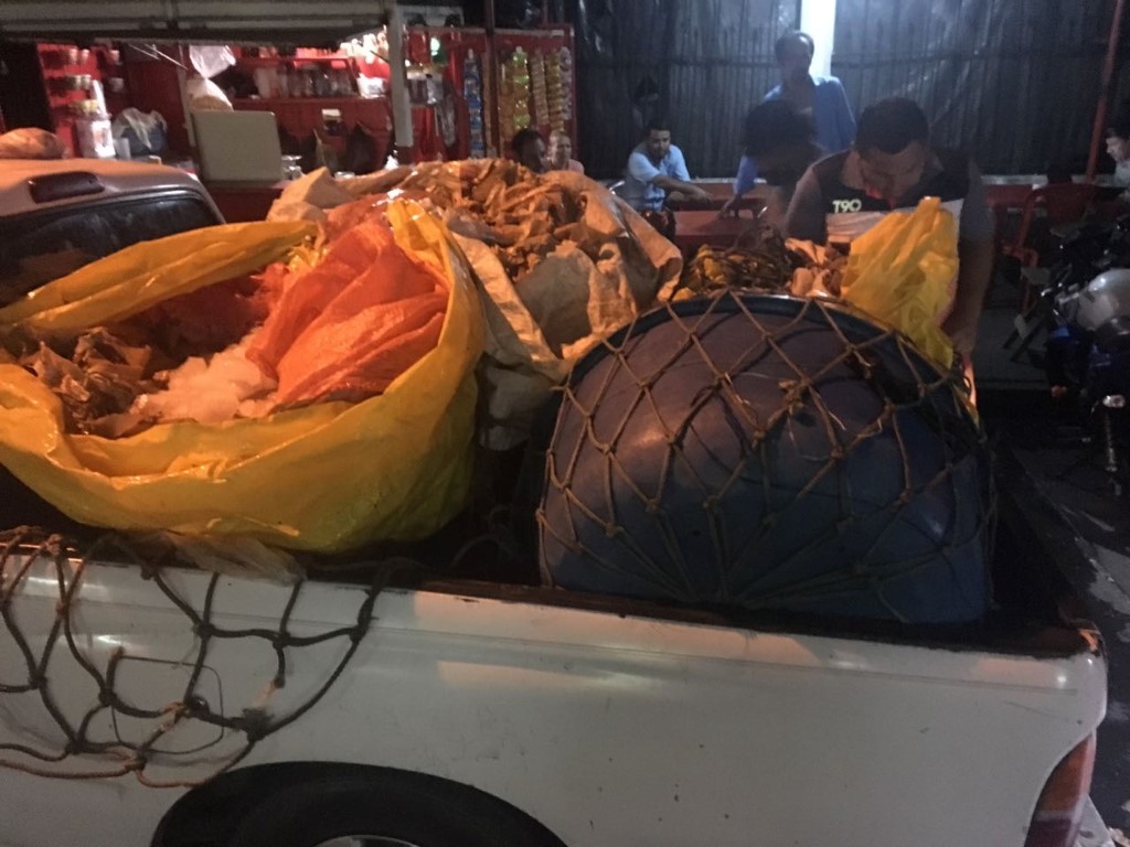 Picop en el que fue decomisado el filete de pescado, en Escuintla. (Foto Prensa Libre: Enrique Paredes).