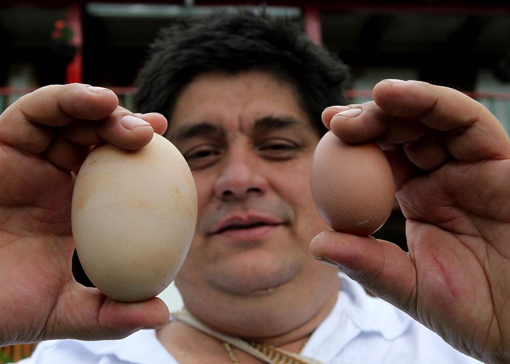 Un hombre muestra dos huevos de diferentes tamaños. (Foto Prensa Libre: Hemeroteca PL)