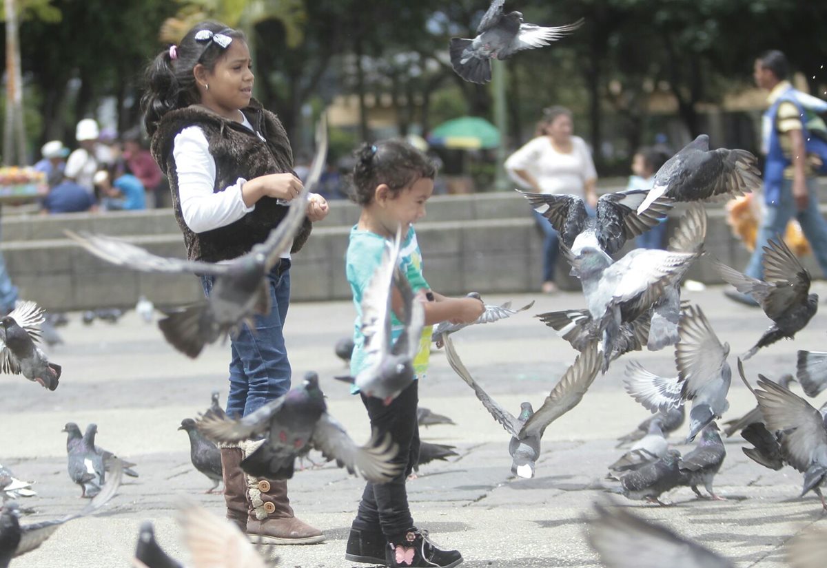 Las niñas de 0 a 17 años son 3.6 millones, representan el 11.6% de la población, al 2013. (Foto Hemeroteca PL)