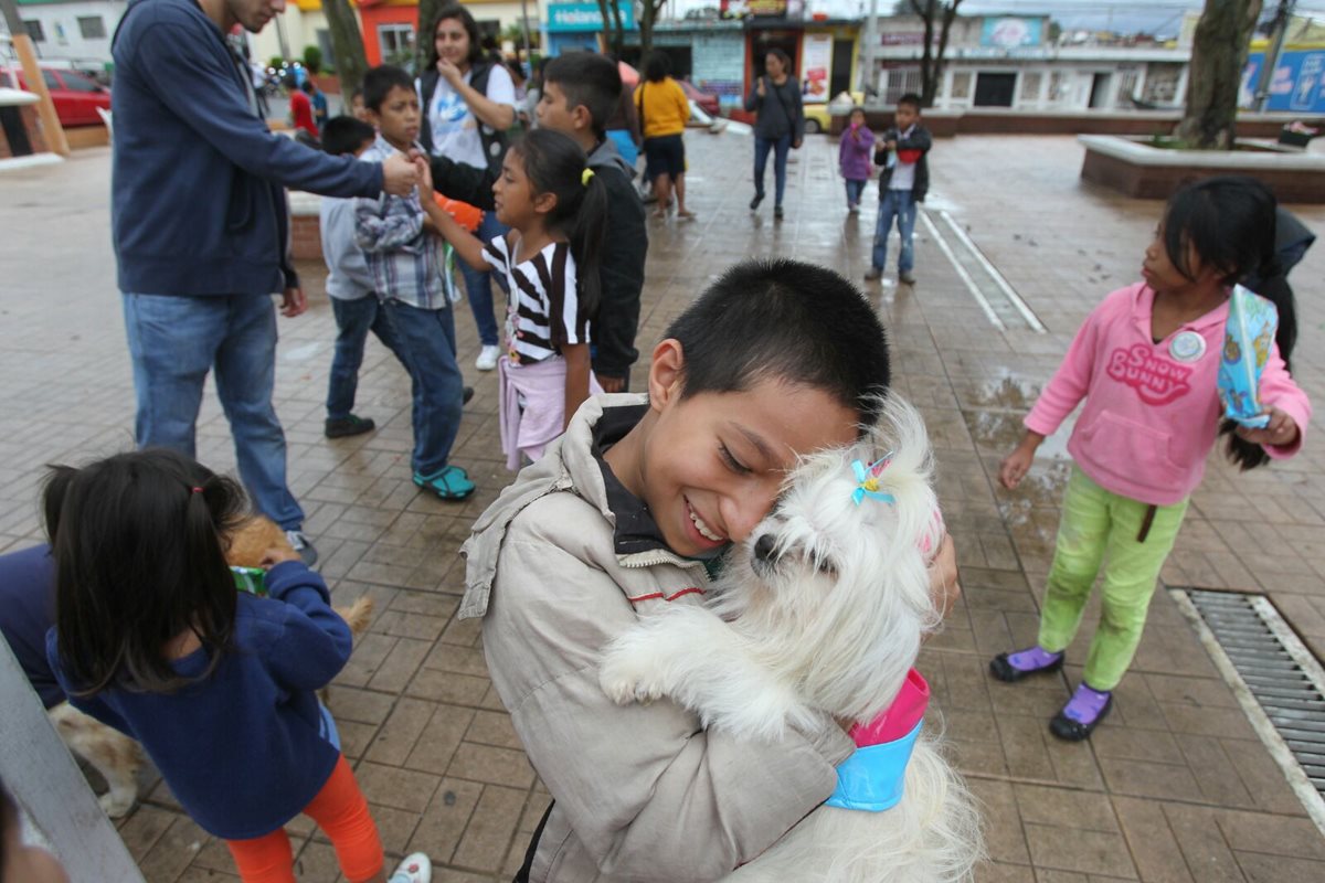 Niños juegan con perros como parte del tratamiento psicológico para superar la tragedia en El Cambray 2. (Foto Prensa Libre: Esbin García)