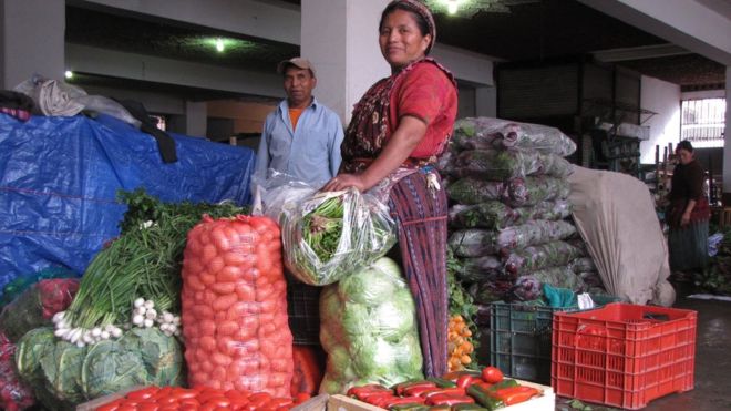 Almolonga abastece con vegetales a varias ciudades de Guatemala y exporta su producción a Centroamérica.