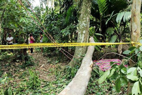Un hombre murió al caerle el árbol encima cuando intentaba cortarlo en San Andrés Villa Seca, Retalhuleu. (Foto Prensa Libre: Rolando Miranda)