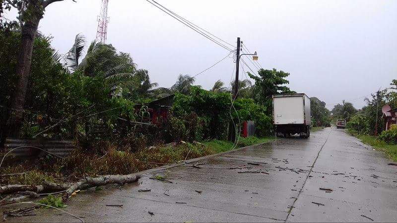 Árboles que fueron derribados por la tormenta Eral dañaron el tendido eléctrico. (Foto Prensa Libre: Rigoberto Escobar)