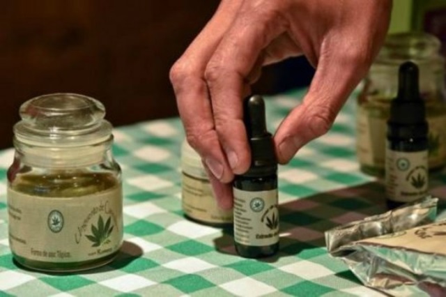 México aprueba uso de cannabis con fines medicinales. (Foto Prensa Libre: AFP)