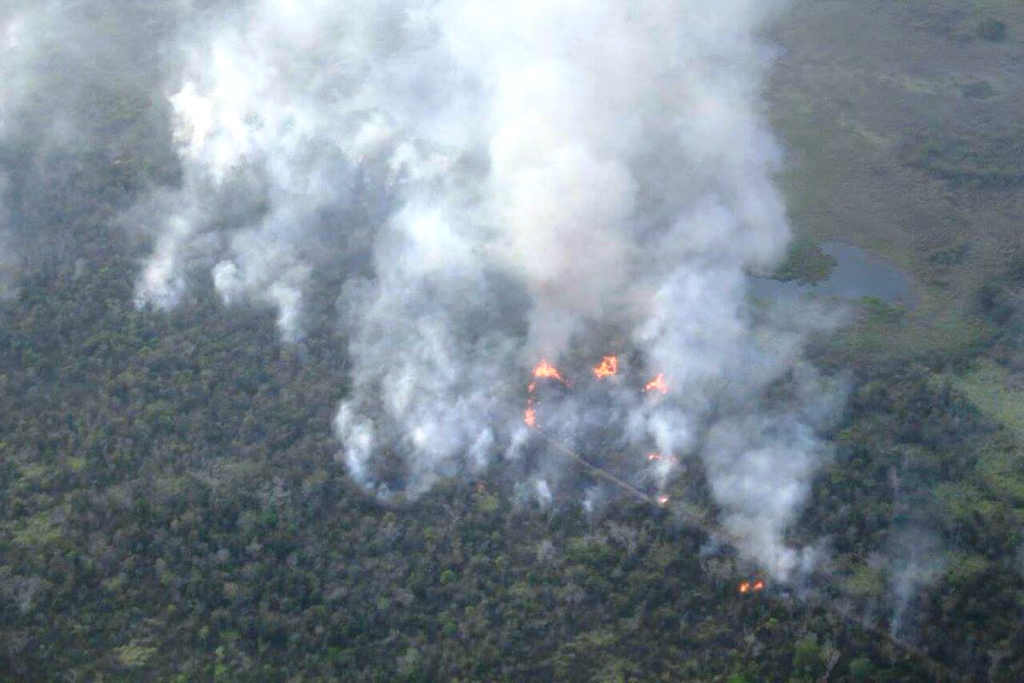 Un incendio que inició el sábado  ha destruido al menos 10 kilómetros cuadrados de bosque. (Foto Prensa Libre: Rigoberto Escobar)