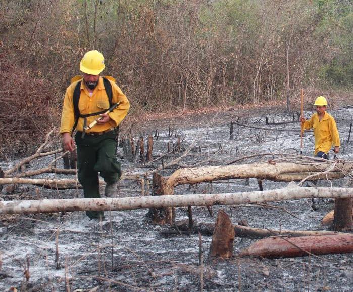 Una de las áreas afectadas por los incendios en el área de la península de Tayazal, ubicada en San Miguel, Flores, Petén. (Foto Prensa Libre: Rigoberto Escobar)