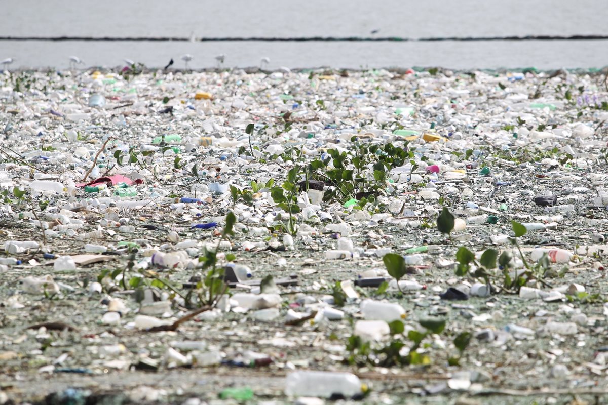 En el lago de Amatitlán desembocan la mayoría de los desechos del área metropolitana, principalmente plástico. (Foto Prensa Libre: Hemeroteca PL)