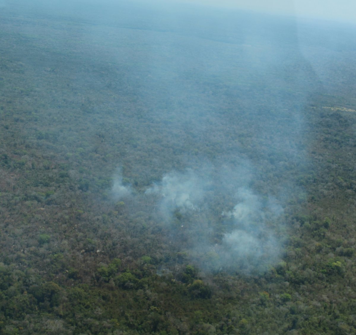 Incendios forestales amenazan zonas vírgenes en Petén.(Foto Prensa Libre: Rigoberto Escobar)
