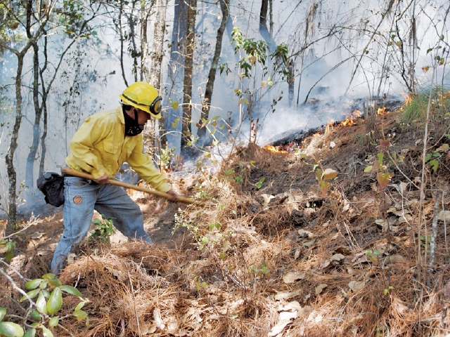 Los incendios forestales en Totonicapán serán atendidos este año solo por cinco personas. (Foto Prensa Libre: Édgar Domínguez)