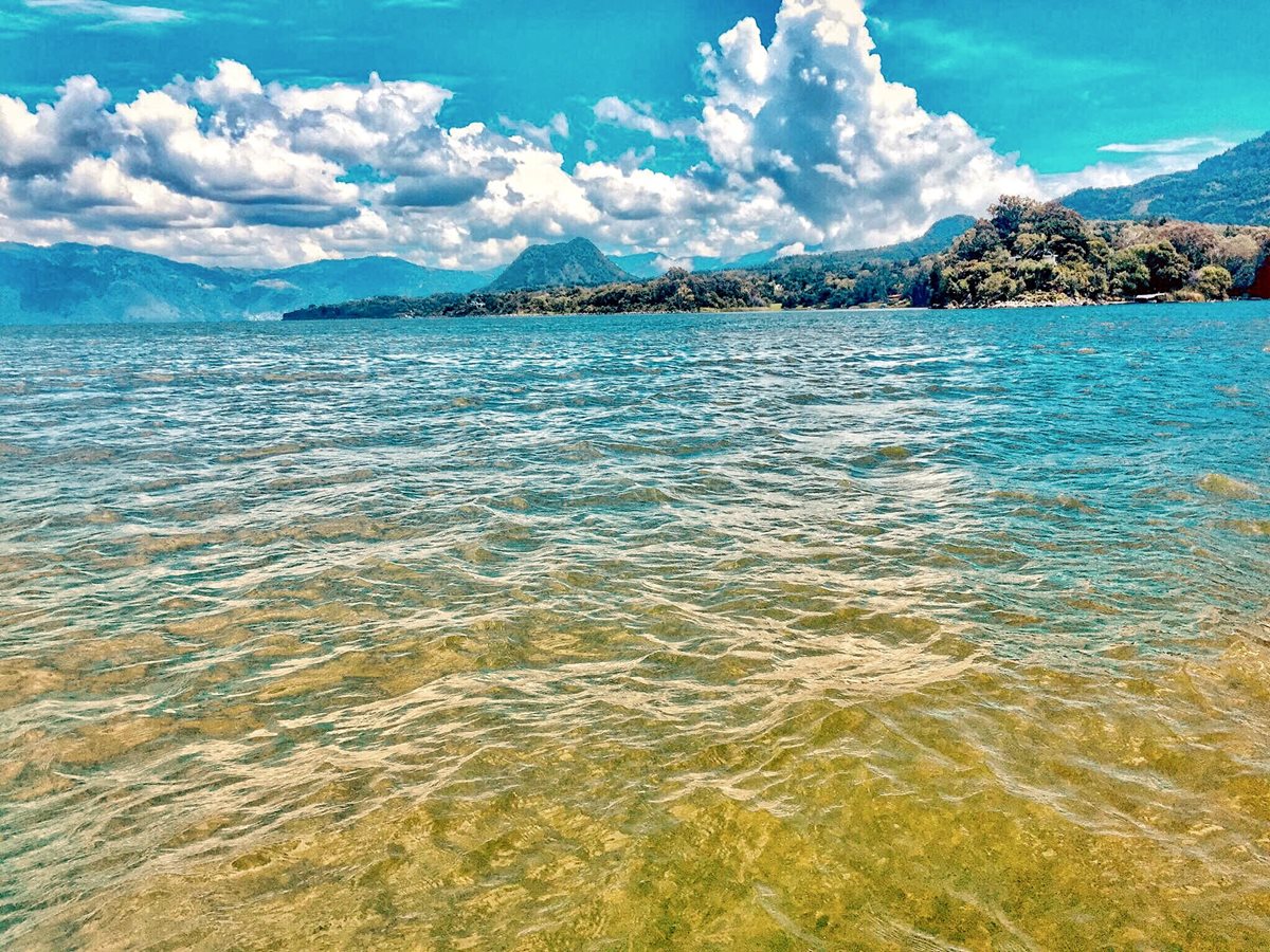 Expertos aseguran que el 40 por ciento de la superficie del Lago de Atitlán está contaminado con cianobacteria. (Foto Prensa Libre: Cortesía Amigos del Lago)