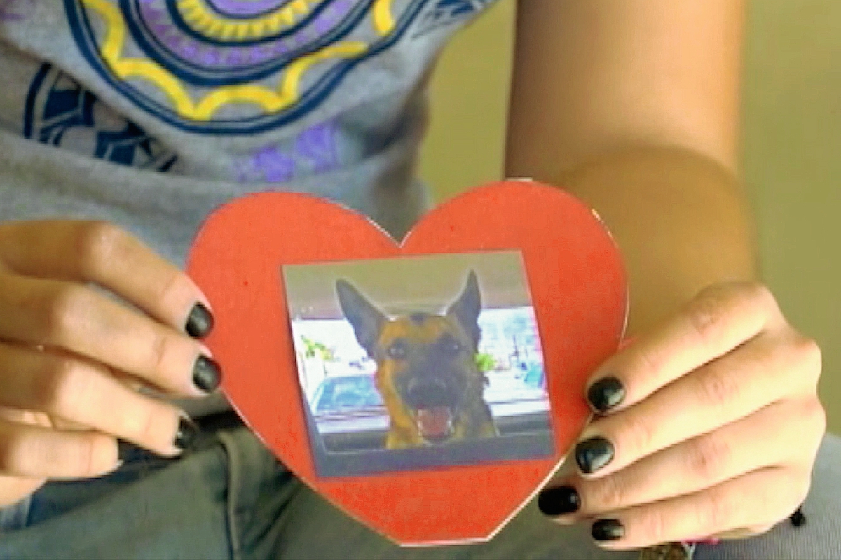 Julieta Robles muestra una fotografía de Box, su mascota que fue envenanada en Hermosillo, México. (Foto Prensa Libre: AP).