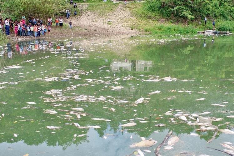 Pobladores de comunidades que viven de la pesca en el río La Pasión, observan daños ocasionados por la contaminación. (Foto Prensa Libre: HemerotecaPL)