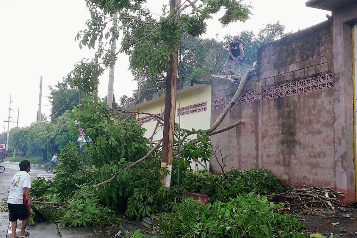 Una vivienda resulta con daños en la parte del techo a causa de la caída de un árbol por la lluvia y viento, en San Sebastián, Retalhuleu. (Foto Prensa Libre: Rolando Miranda)