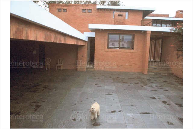 La foto de la mascota de Pérez Molina, supuestamente abandonada en la zona 15, conmocionó a las redes sociales. Muchos, incluso, ofrecieron adoptarla. (Foto: Hemeroteca PL)