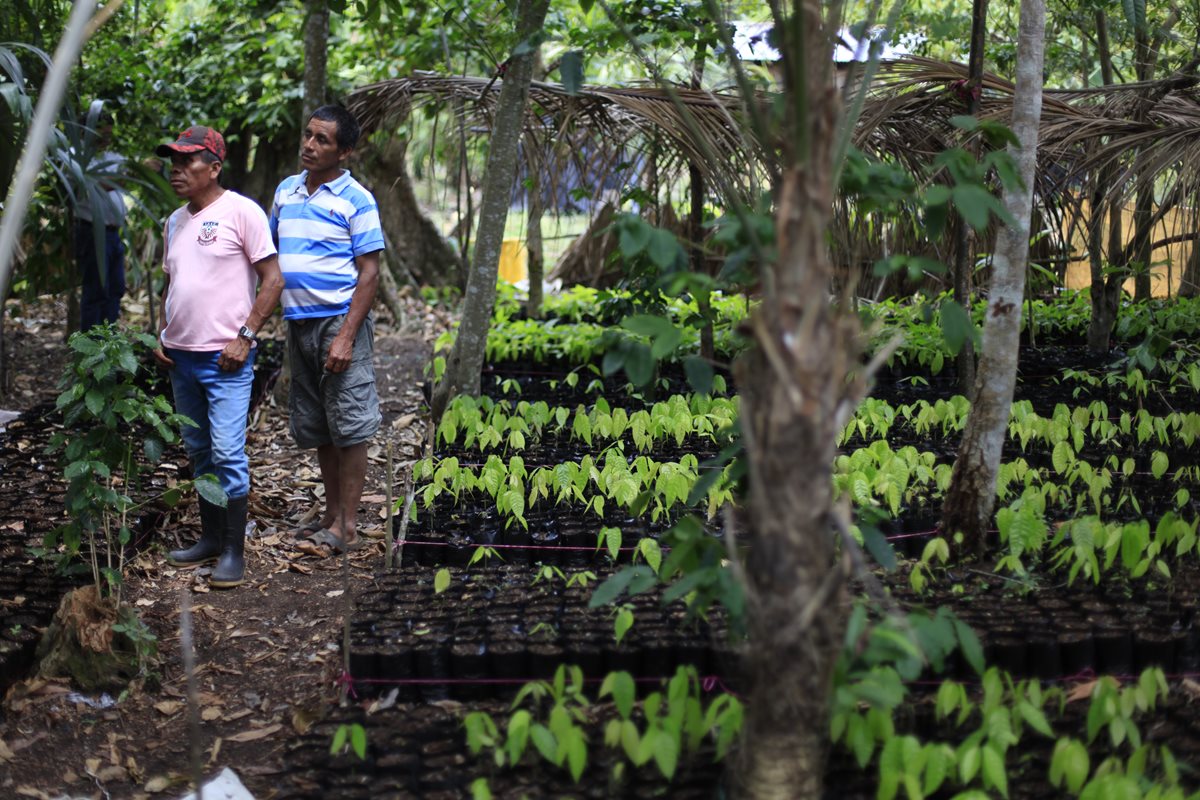 Pobladores de San Marcos, Poptún, Petén, se capacitan sobre siembras de cultivos con la organización Balam. (Foto Prensa Libre: Edwin Bercian)