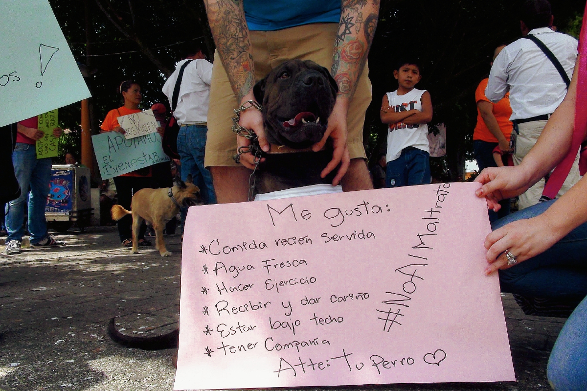 Manifestantes utilizaron la creatividad para rechazar la matanza de perros en Totonicapán. (Foto Prensa Libre: Melvin Popá)