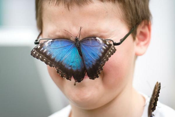 <br _mce_bogus="1"/>