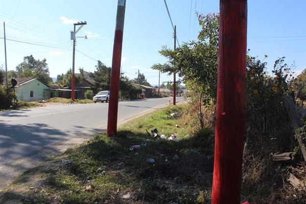 Alcalde acusa a Líder de pintar postes rojo. (Foto Prensa Libre: Mike Castillo)<br _mce_bogus="1"/>