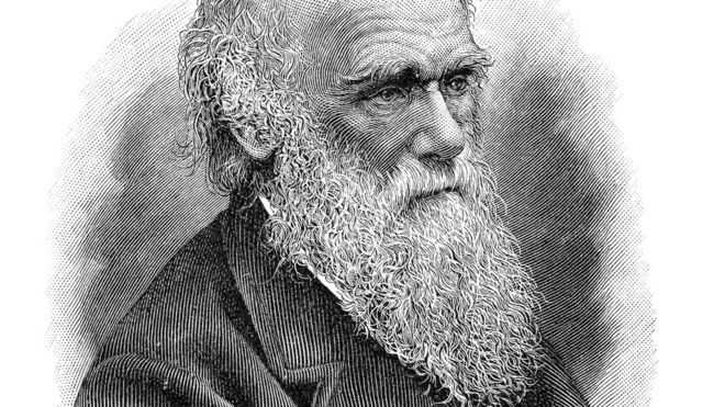 Darwin observó que la competencia puede a veces genera beneficios para el individuo a expensas del grupo (GETTY IMAGES).