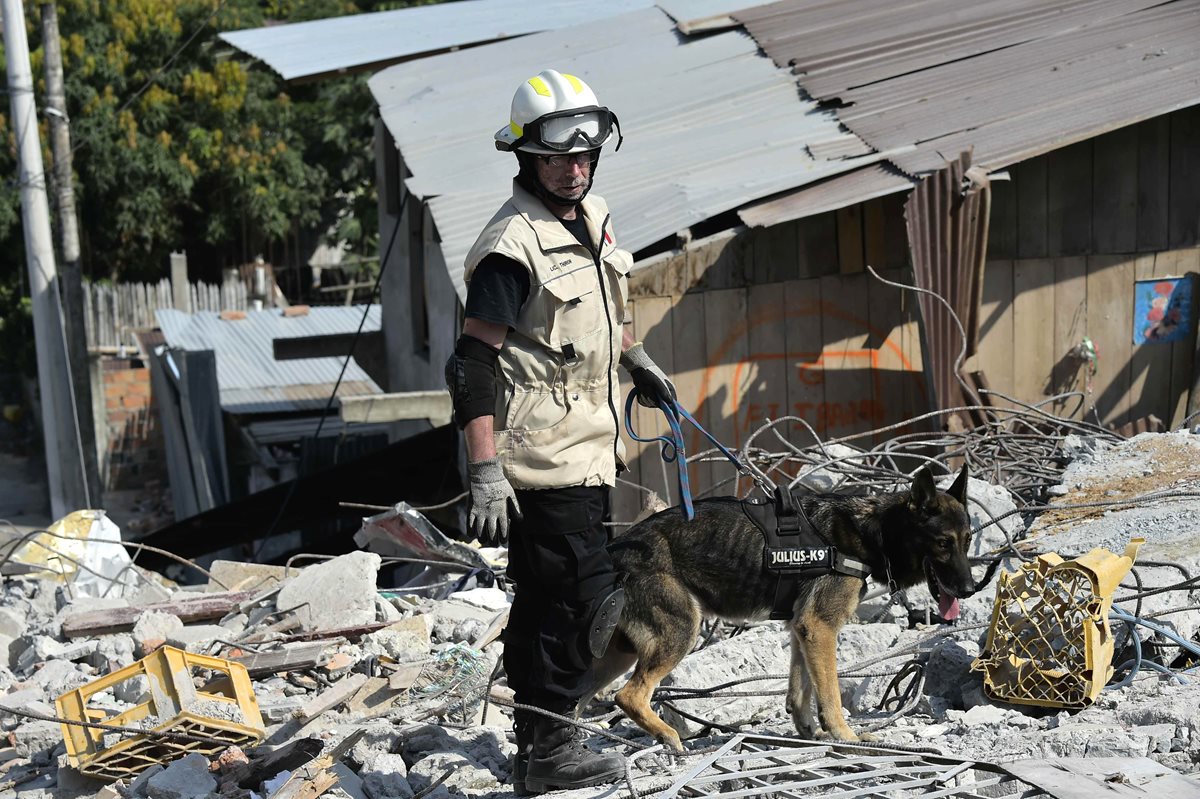 Un rescatista con la ayuda de un perro entrenado, busca sobrevivientes en una localidad afectada por el terremoto. (Foto Prensa Libre: AFP).