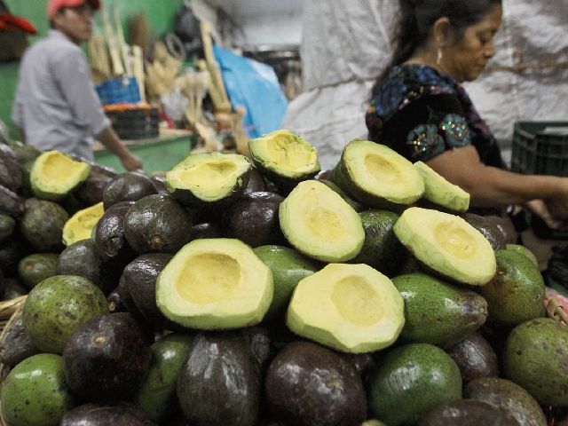 El aguacate no ha tenido un buen año, no solo por su producción, sino también por el alza de precios. (Foto Prensa Libre: Hemeroteca)