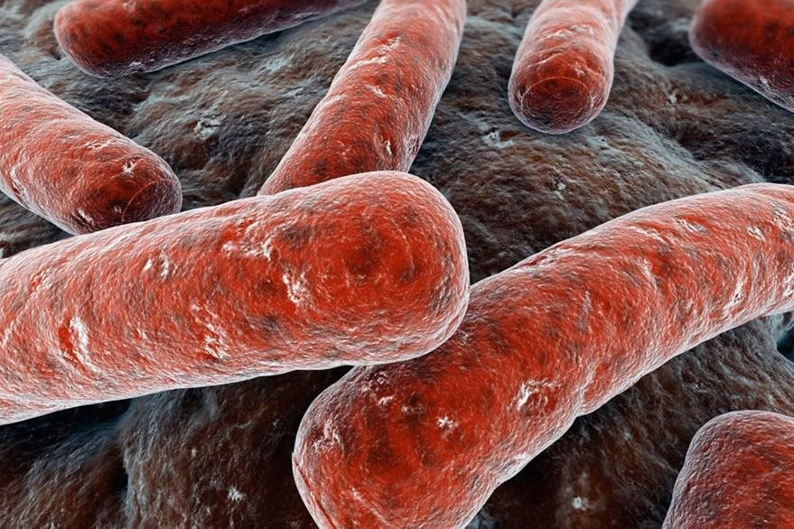 La bacteria Mycobacterium tuberculosis, es la causante de la enfermedad, la cual afecta principalmente a los pulmones. (Foto Prensa Libre: Hemeroteca PL)
