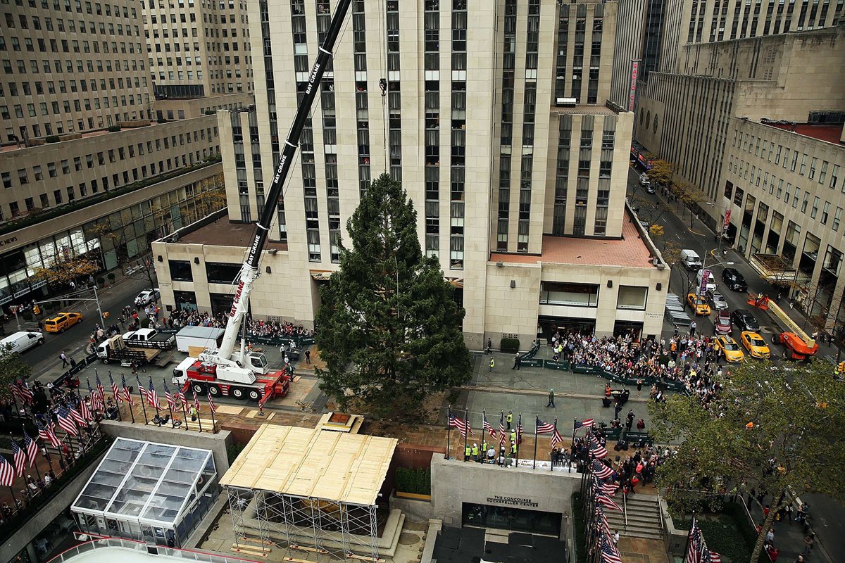 El emblemático árbol fue instalado este viernes en Nueva York. (Foto Prensa Libre: AFP).