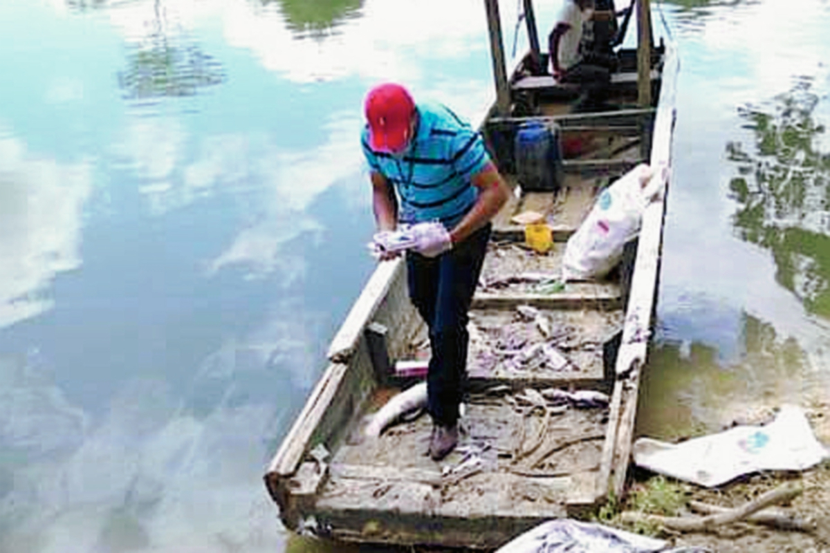 Pescadores de Sayaxché reportan alta mortandad de peces en el río La Pasión. (Foto Prensa Libre: Rigoberto Escobar)