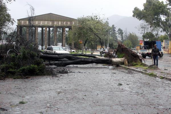 Un árbol obstaculiza una calle en Quetzaltenango tras ser derribado en medio de las lluvias (Foto Prensa Libre: C. Ventura)<br _mce_bogus="1"/>