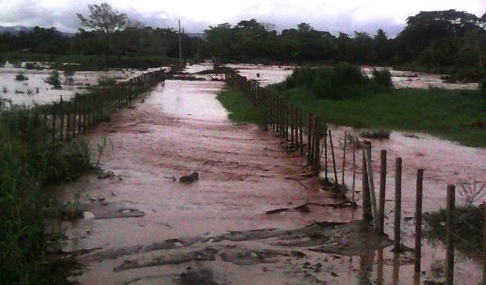 Decenas de viviendas se han inundado por el desborde de ríos en Izabal, causado por la fuerte lluvia. (Foto Prensa Libre: MSPAS)