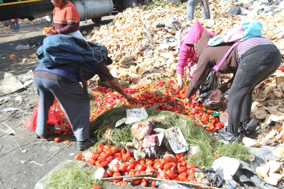Recolectores de la coquera recogían desperdicios de tomate para la cena de Navidad. (Foto Prensa Libre: Érick Ávila)