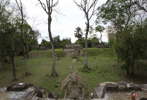 Pie  foto pie de foto pie de foto pie .