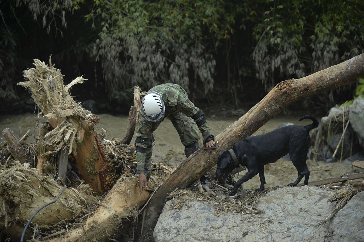 Un rescatista con un perro entrenado busca más víctimas en Salgar donde las posibilidades de hallarlas con vida son escasas. (Foto Prensa Libre: AFP).