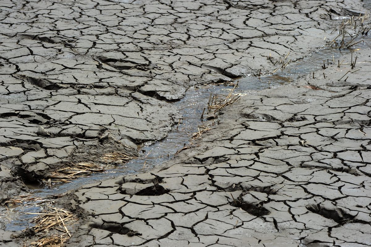 Ilustración. La escasez de agua en El Salvador está relacionada con cuatro años continuos de lluvia por debajo del promedio anual. (Foto Prensa Libre: AFP).