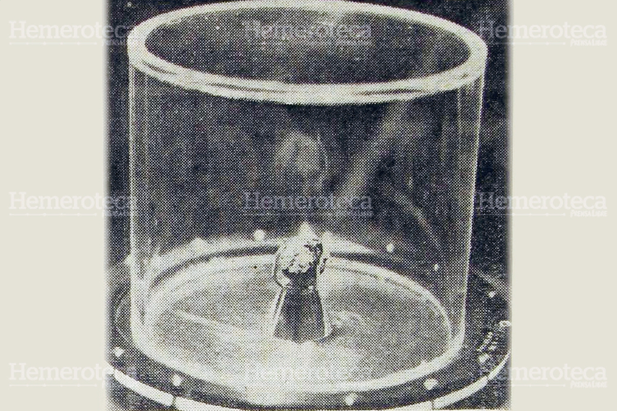 Piedra lunar traída a Guatemala en 1969, luego de la misión espacial Apolo 11. Foto: Hemeroteca PL.