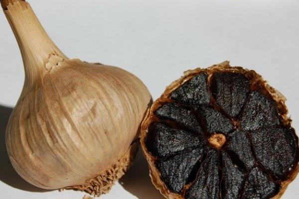 La fermentación de esta planta potencializa su sabor. (Foto Prensa Libre: EFE) <br _mce_bogus="1"/>