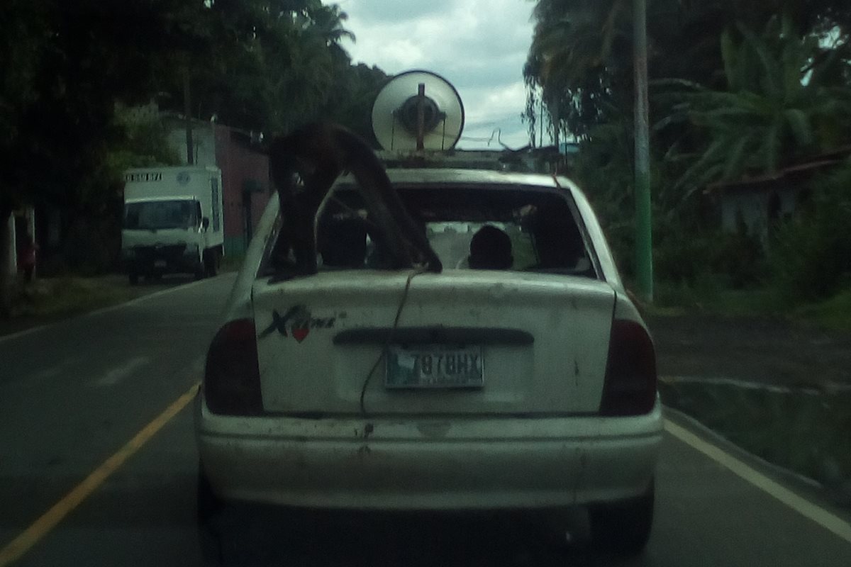 Ocupantes de un automóvil trasladan a un mono, aparentemente para promocionar funciones de un circo, en Patulul. (Foto Prensa Libre: Cortesía)