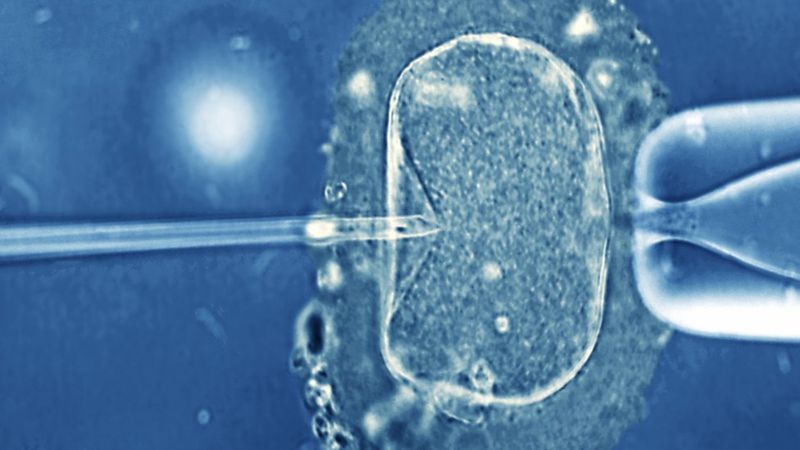 La pareja iba a someterse a un procedimiento de FIV y tenía varios embriones congelados. SCIENCE PHOTO LIBRARY