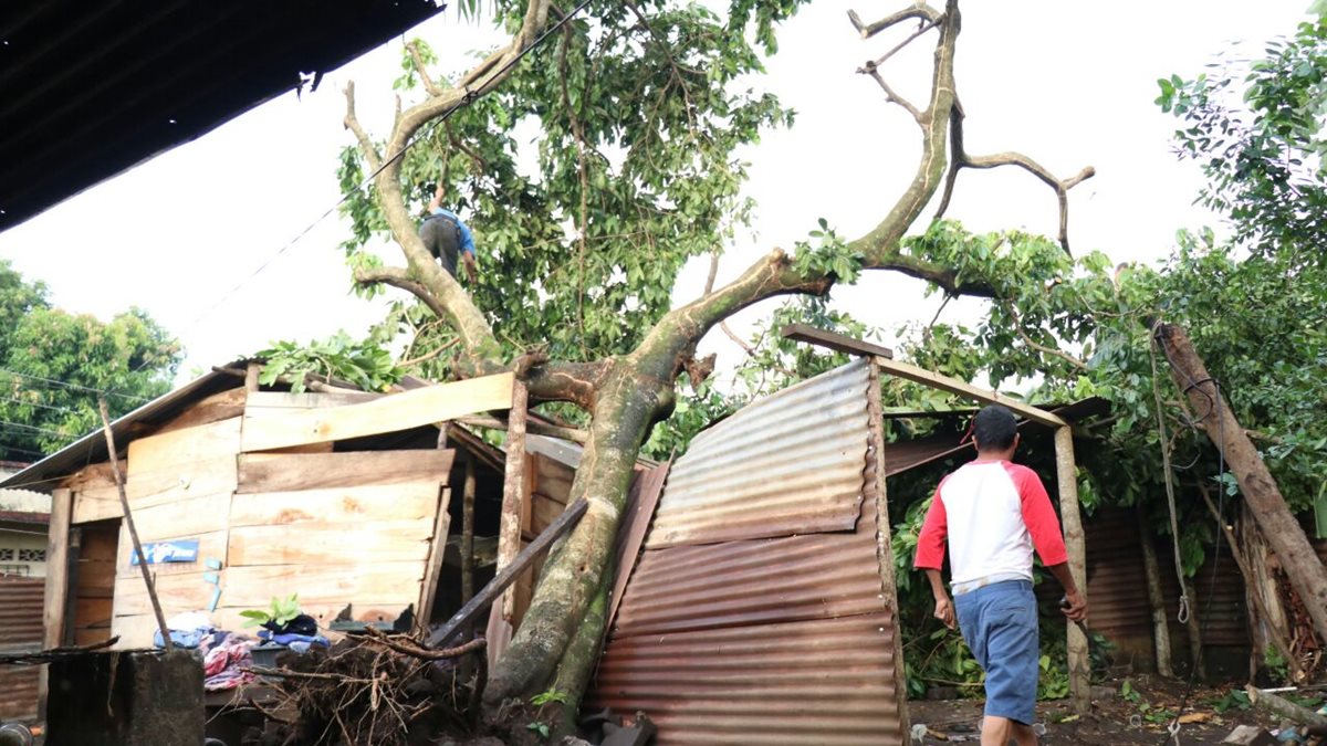 La casa de la familia Tupul, en en Las Flores, zona 3 de Mazatenango, fue dañada por un árbol. (Foto Prensa Libre. Cristian Soto)