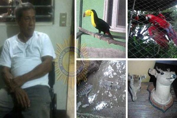 Las fuerzas de seguridad rescataron a 64 animales. (Foto Prensa Libre: PNC)<br _mce_bogus="1"/>