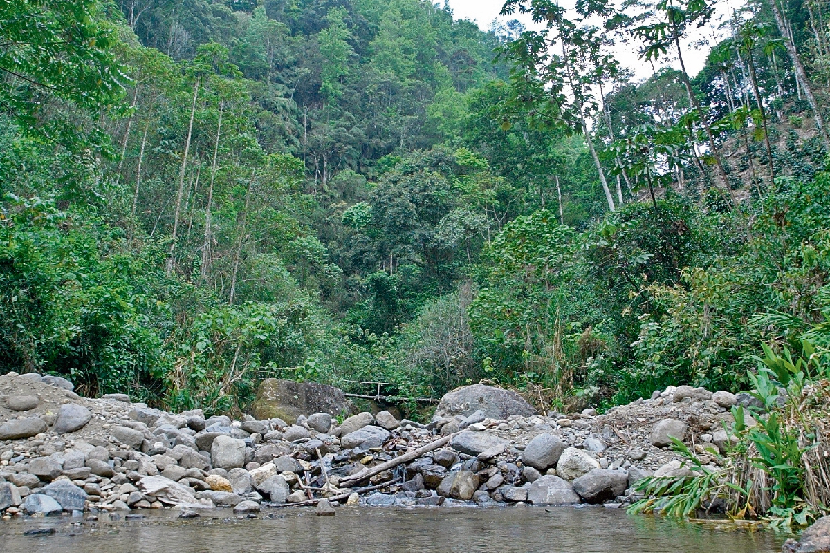 De acuerdo con especialistas internacionales en cambio climático, Guatemala tiene una biodiversidad única, pero también muchas vulnerabilidades. (Foto Prensa Libre: Hemeroteca PL)