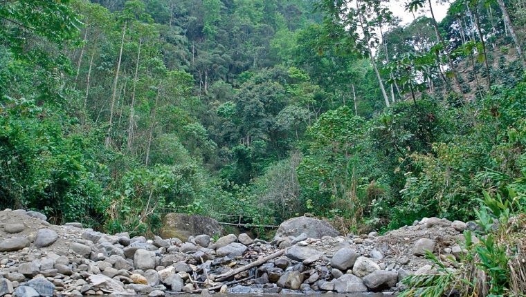 De acuerdo con especialistas internacionales en cambio climÃ¡tico, Guatemala tiene una biodiversidad Ãºnica, pero tambiÃ©n muchas vulnerabilidades. (Foto Prensa Libre: Hemeroteca PL)