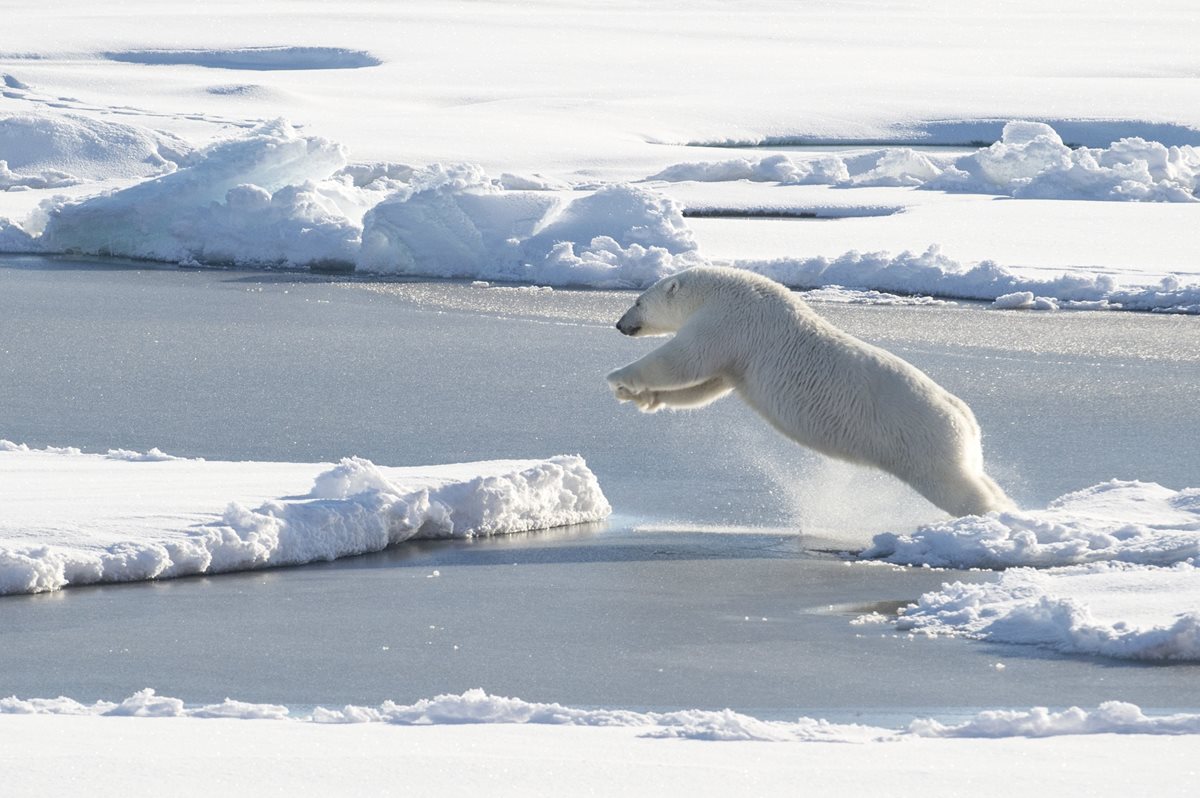 El deshielo antártico podría doblar las previsiones del aumento de nivel del mar. (Foto Prensa Libre: AFP).