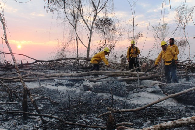 La zona arrasada por el fuego en el área Península de Tayazal, San Miguel, Flores, Petén, muestra uno de los efectos de la prolongada sequía en el departamento. (Foto Prensa Libre: Rigoberto Escobar)