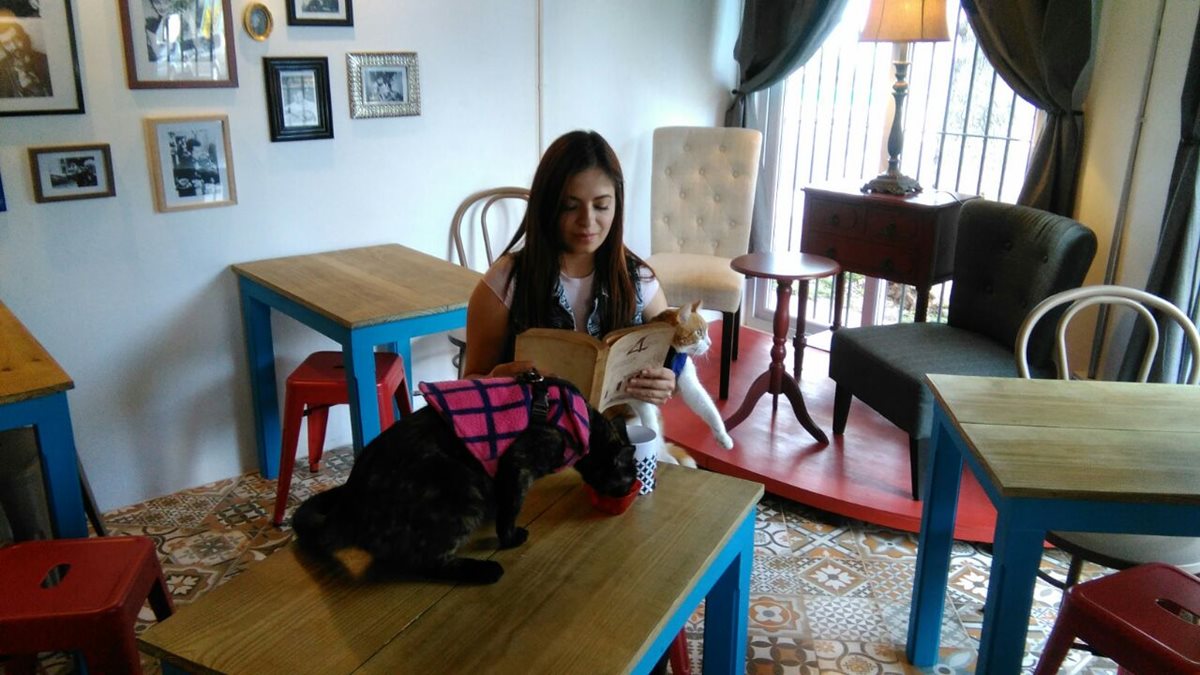 Rosario Rodríguez, clienta, disfruta en Mona Café junto a sus mascotas. (Foto Prensa Libre: Oscar García).
