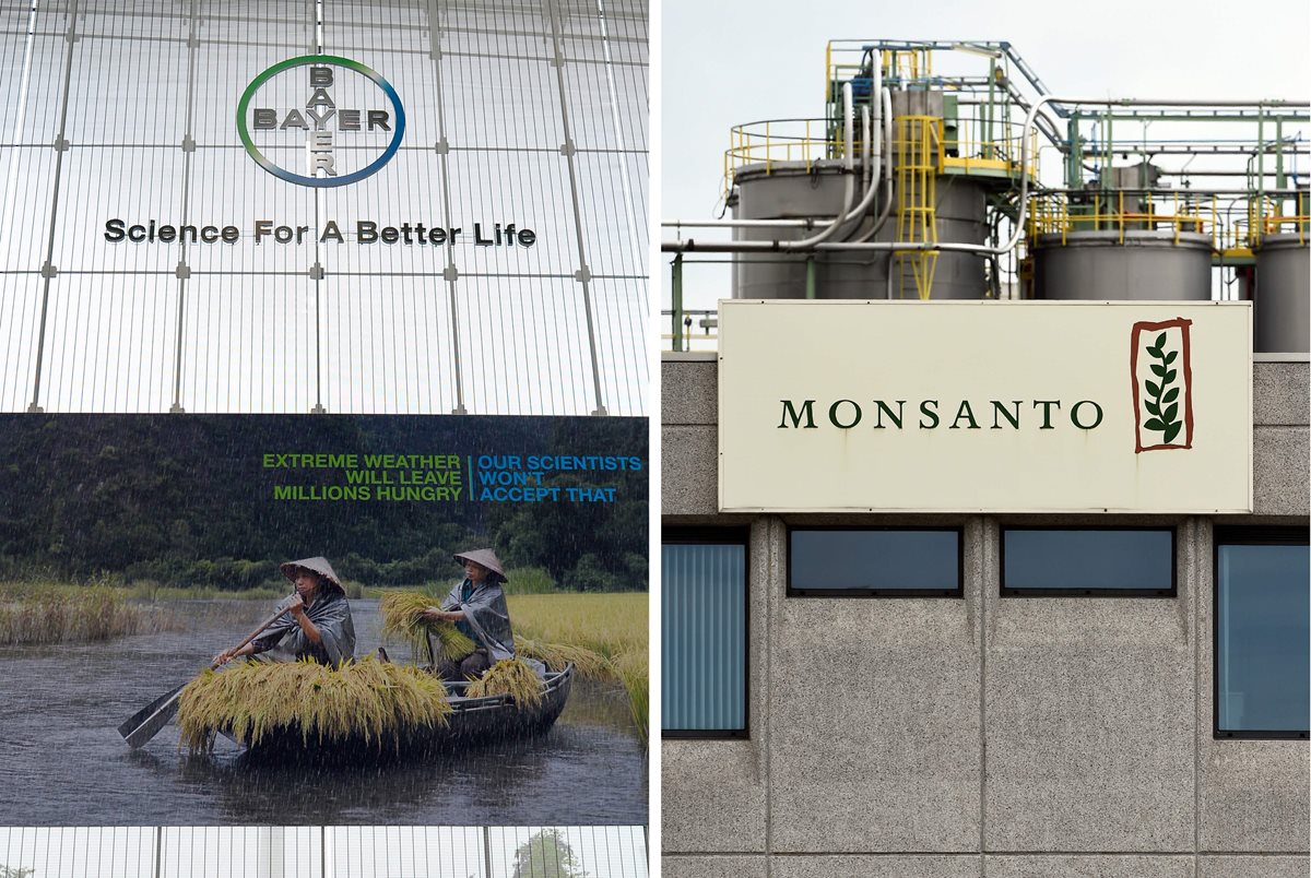 Bayer concluye la compra de Monsanto por 63 mil millones de dólares. Foto Prensa Libre:AFP).