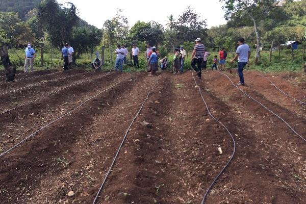 Pobladores aprenden funcionamiento del microrriego en San Benito, Petén.